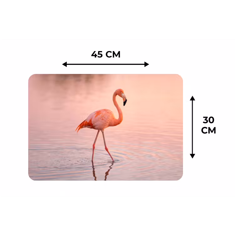 Placemat - 6 stuks - Flamingo - Water - Roze — 3