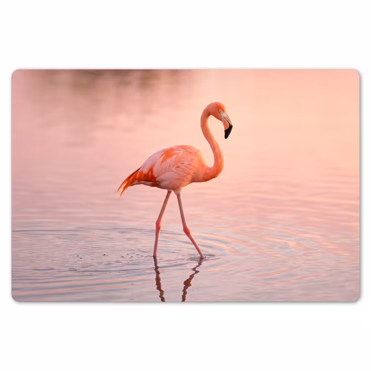 Placemat - 6 stuks - Flamingo - Water - Roze — 7