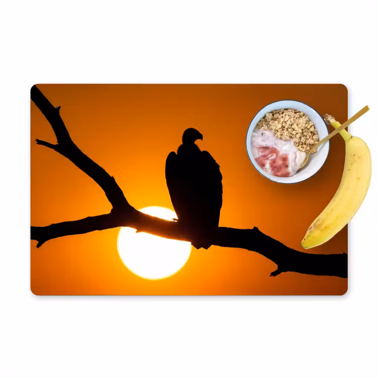 Placemat - 6 stuks - Gier - Tak - Zon - Oranje — 1
