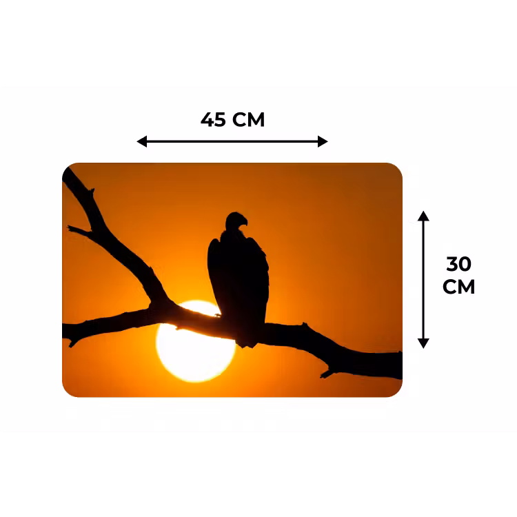 Placemat - 6 stuks - Gier - Tak - Zon - Oranje — 3