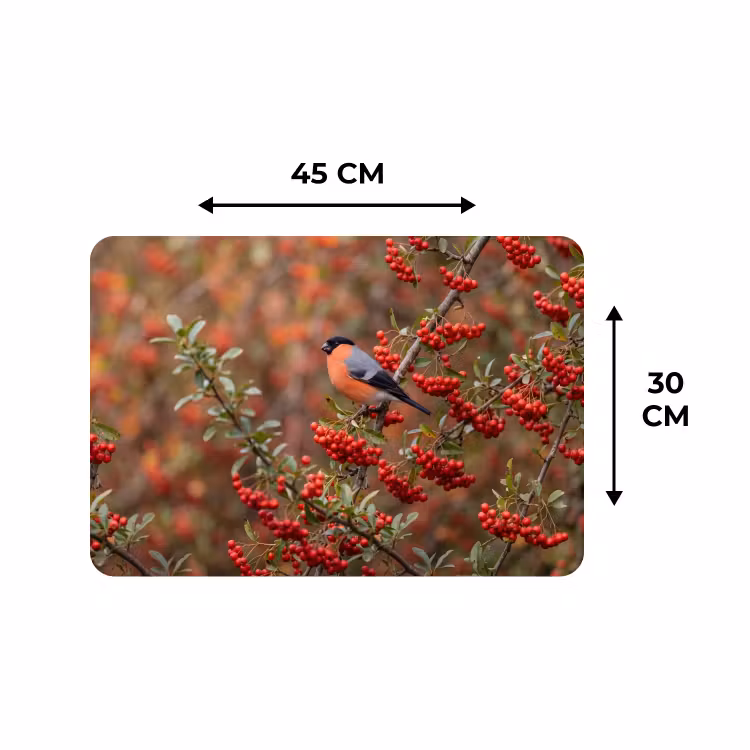 Placemat - 6 stuks - Goudvink - Bessen - Herfst - Natuur - Kleurrijk — 3