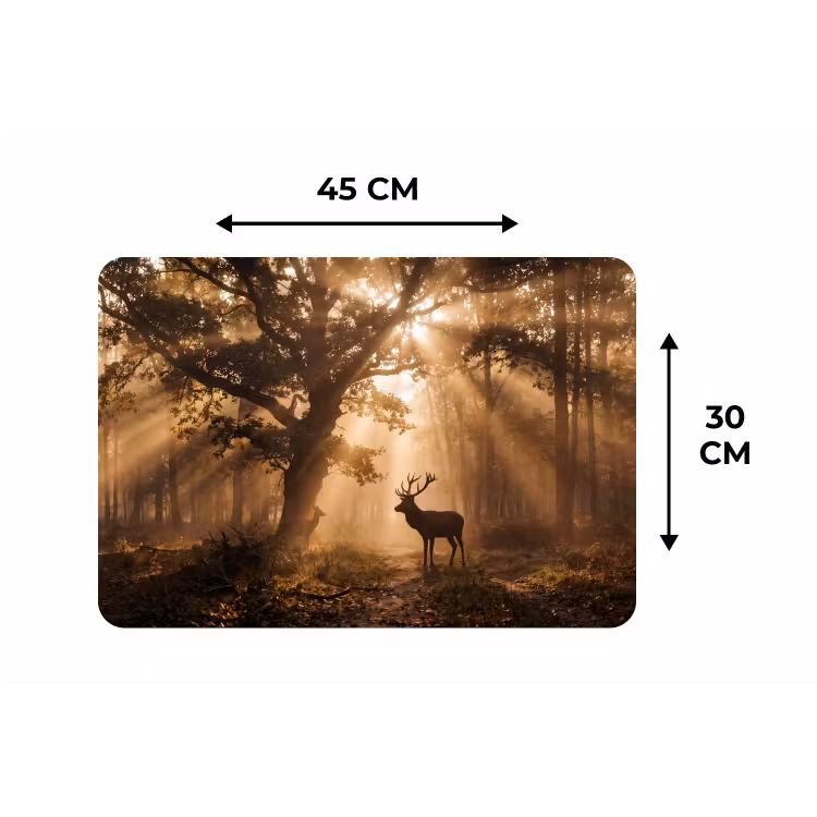 Placemat - 6 stuks - Hert - Bos - Mistig - Natuur - Goud — 3
