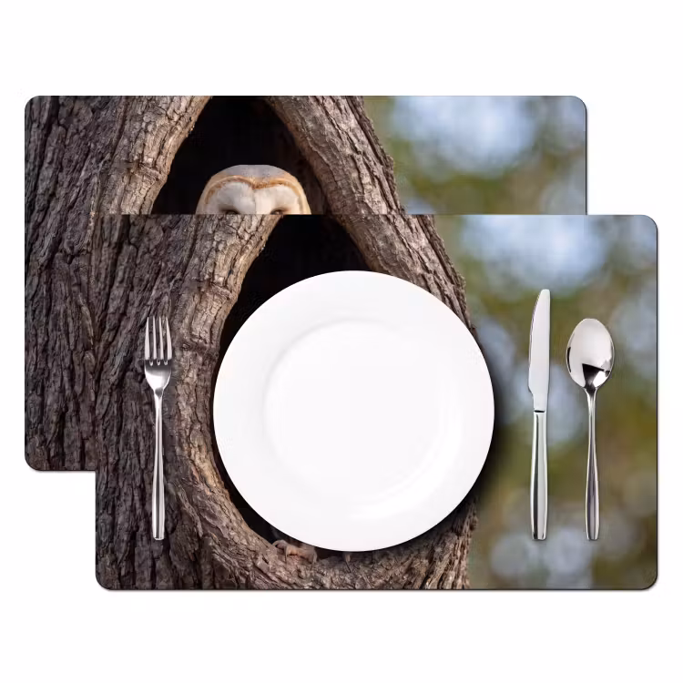 Placemat - 6 stuks - Kerkuil - Boom - Natuur - Bruin — 2