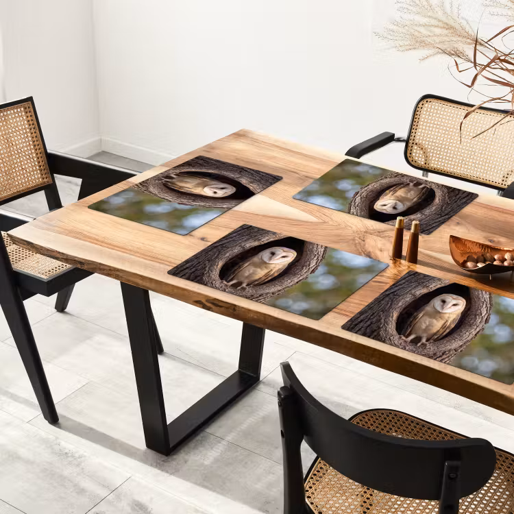 Placemat - 6 stuks - Kerkuil - Boom - Natuur - Bruin — 5