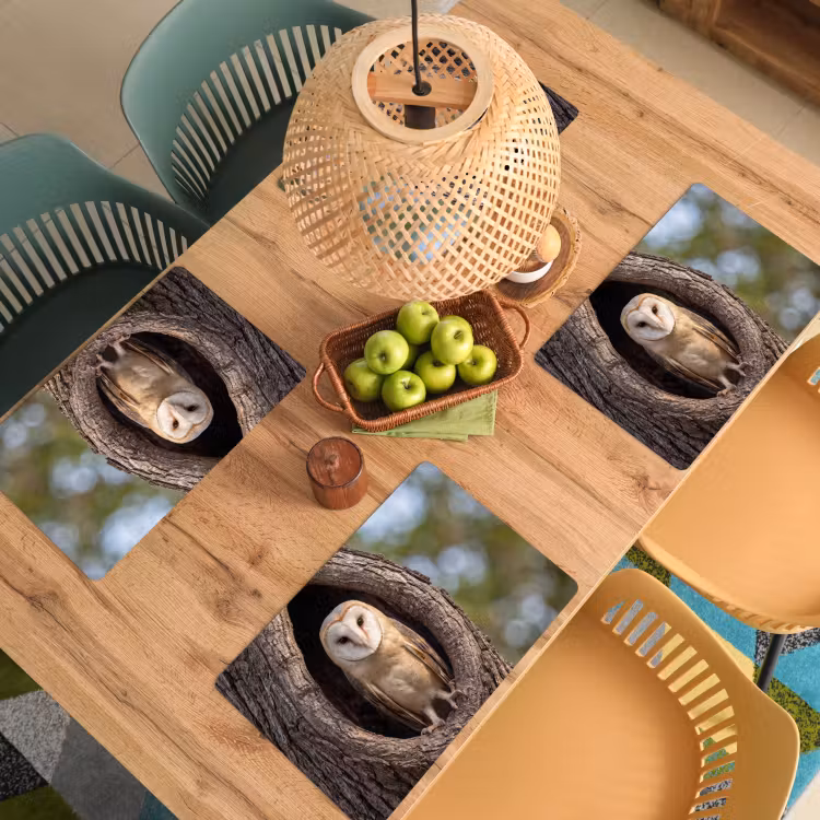 Placemat - 6 stuks - Kerkuil - Boom - Natuur - Bruin — 6
