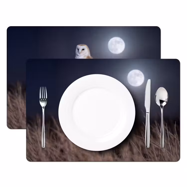 Placemat - 6 stuks - Kerkuil - Maan - Nacht — 2