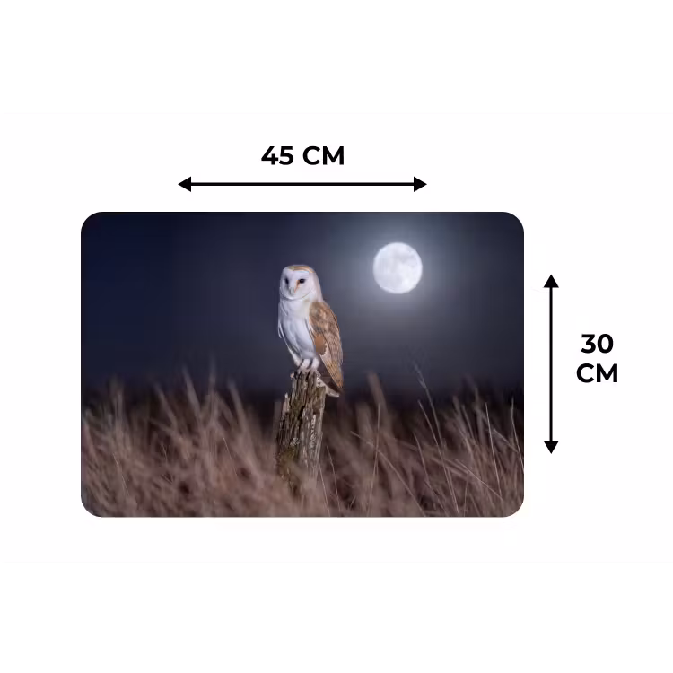 Placemat - 6 stuks - Kerkuil - Maan - Nacht — 3