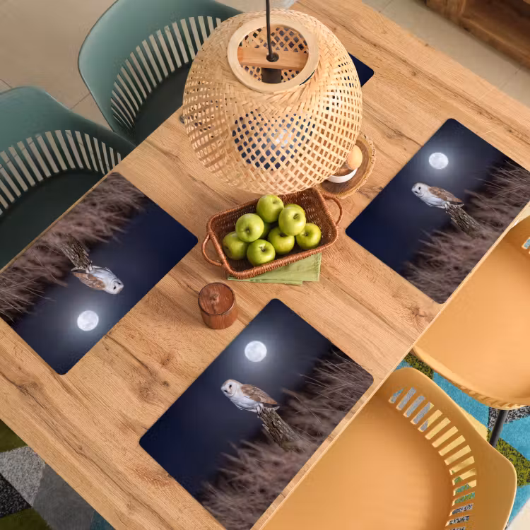 Placemat - 6 stuks - Kerkuil - Maan - Nacht — 6