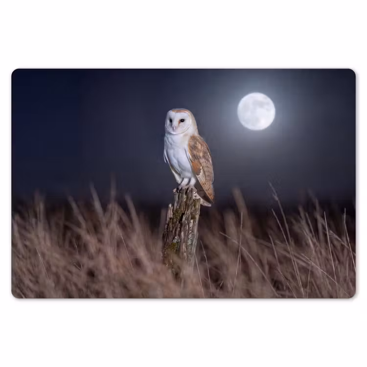 Placemat - 6 stuks - Kerkuil - Maan - Nacht — 7