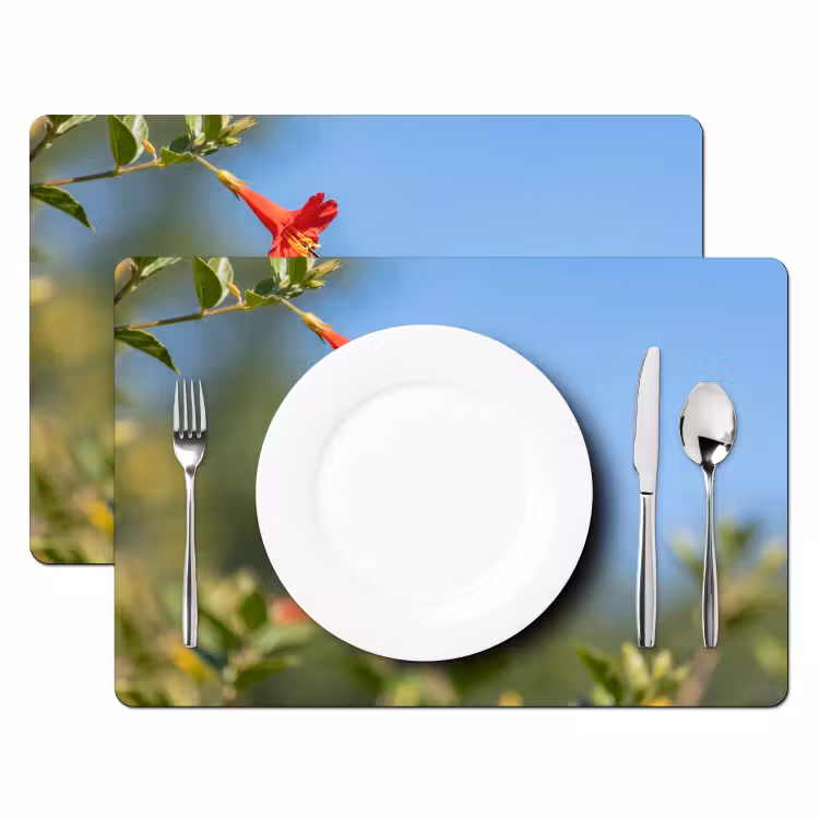 Placemat - 6 stuks - Kolibrie - Bloem - Natuur - Groen — 2