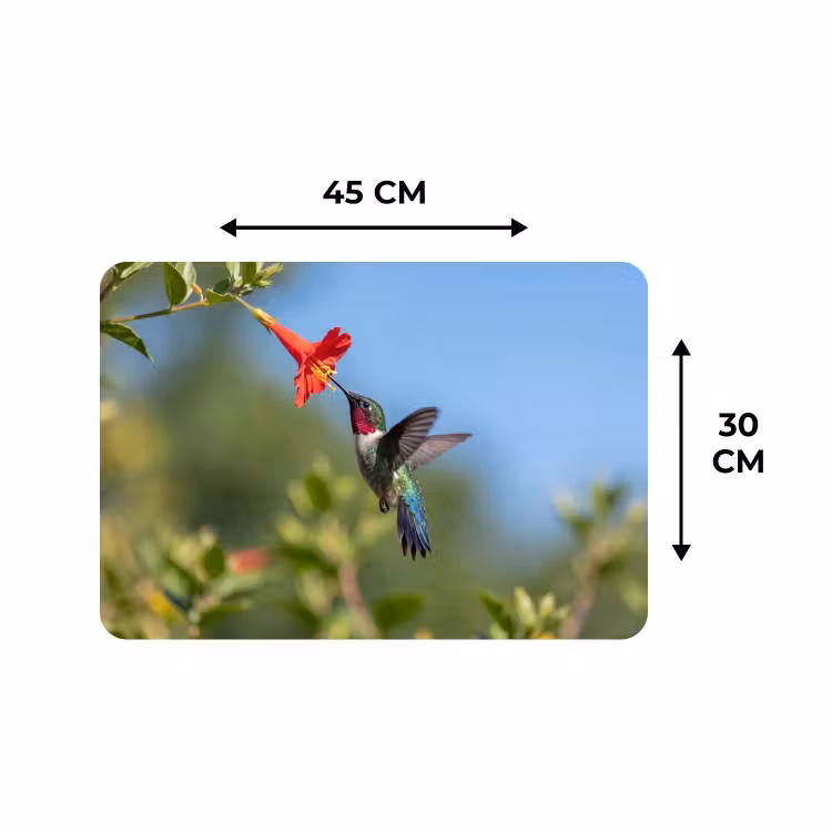 Placemat - 6 stuks - Kolibrie - Bloem - Natuur - Groen — 3