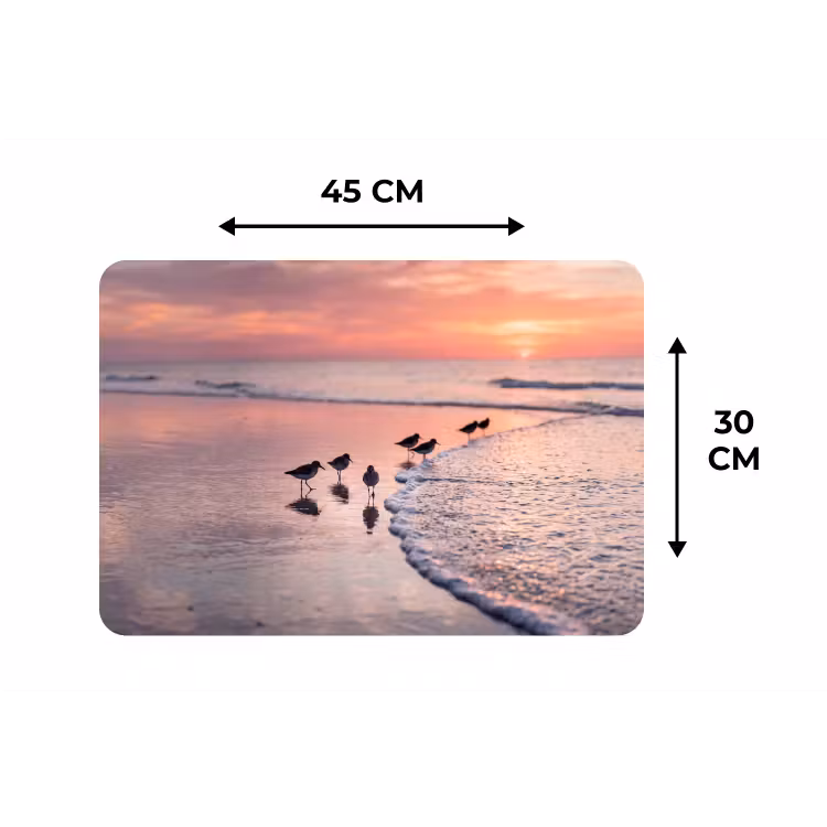 Placemat - 6 stuks - Meeuwen - Strand - Zee - Roze — 3