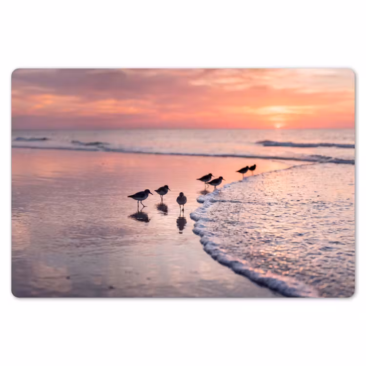 Placemat - 6 stuks - Meeuwen - Strand - Zee - Roze — 7