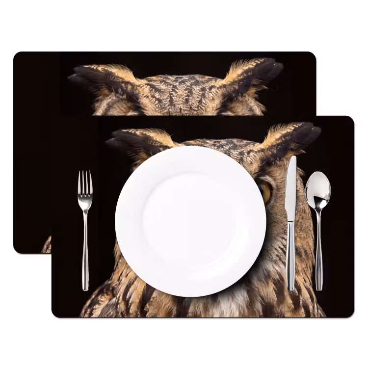 Placemat - 6 stuks - Oehoe - Uil - Portret - Bruin — 2