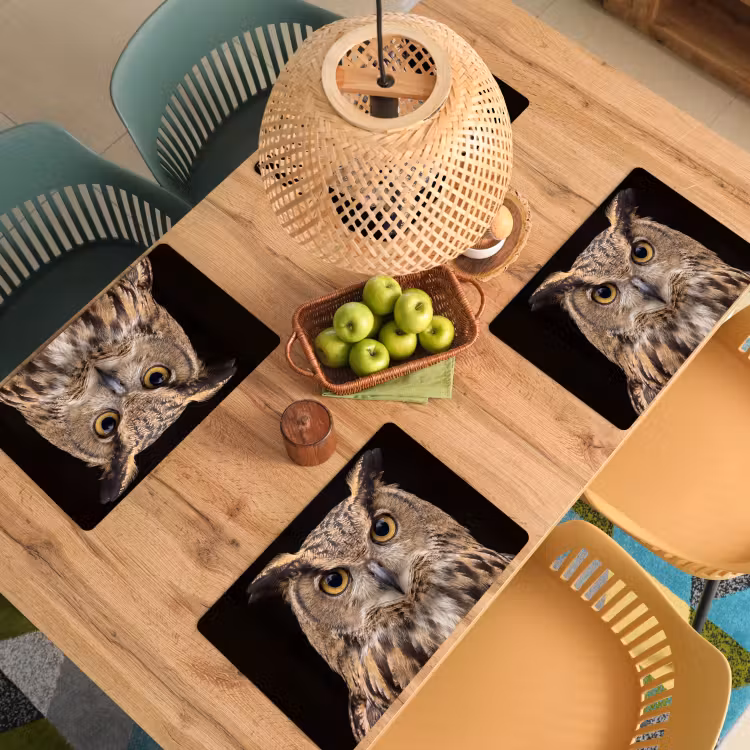 Placemat - 6 stuks - Oehoe - Uil - Portret - Bruin — 6
