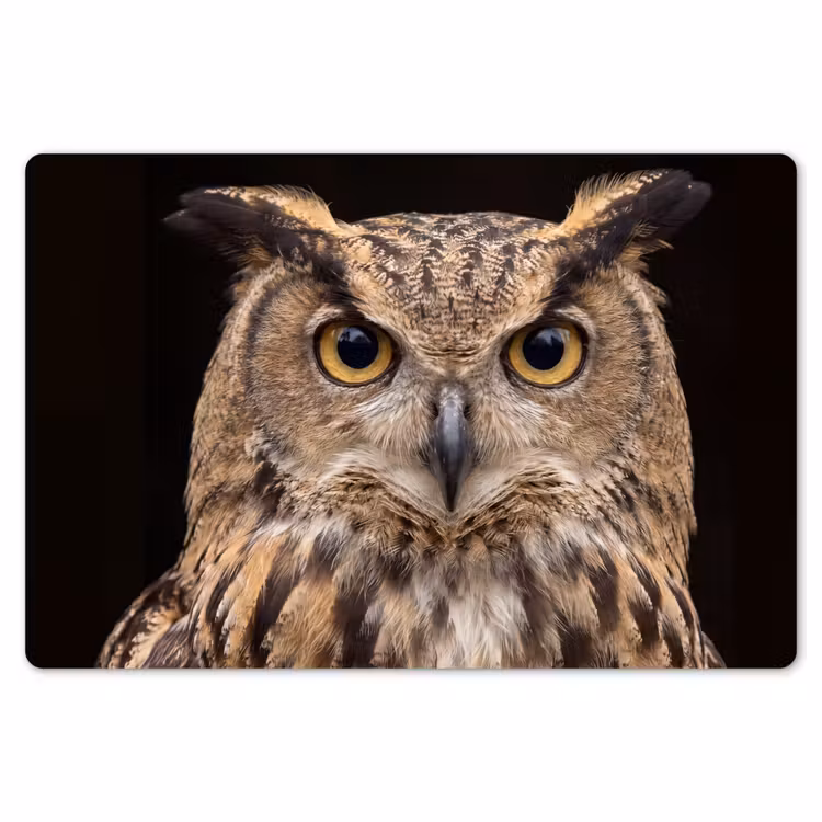 Placemat - 6 stuks - Oehoe - Uil - Portret - Bruin — 7
