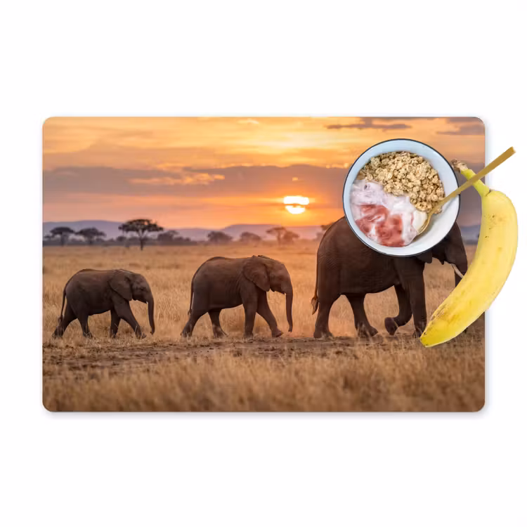 Placemat - 6 stuks - Olifanten - Savanne - Zonsondergang - Afrika - Warm — 1