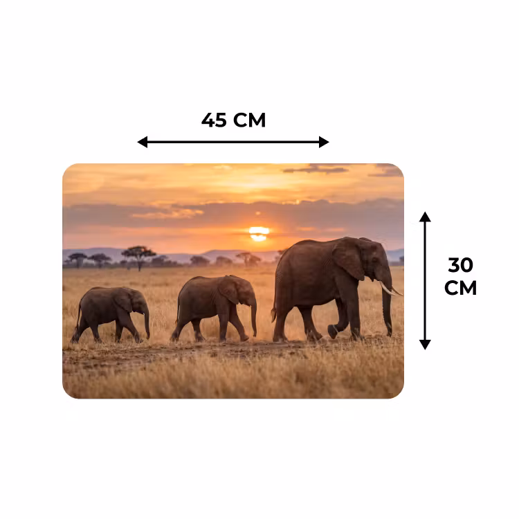 Placemat - 6 stuks - Olifanten - Savanne - Zonsondergang - Afrika - Warm — 3