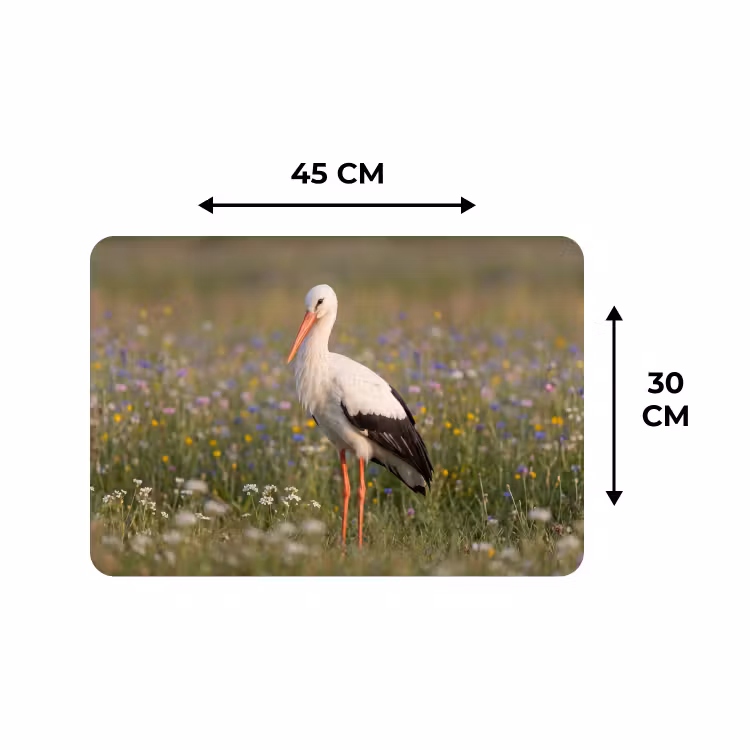 Placemat - 6 stuks - Ooienvaar - Bloemen - Weide - Kleurrijk — 3