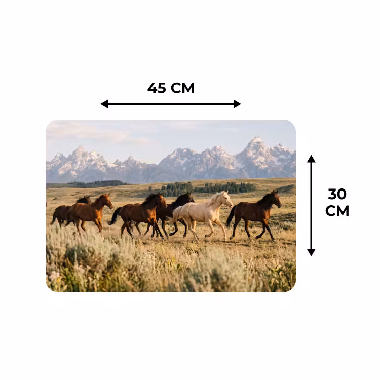 Placemat - 6 stuks - Paarden - Kudde - Bergen - Vrijheid - Wild — 3
