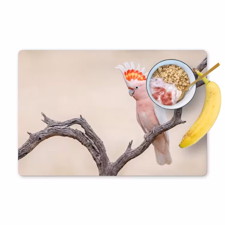 Placemat - 6 stuks - Papagaai - Tak - Roze — 1