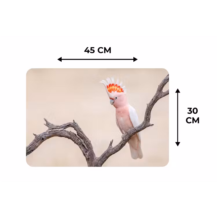 Placemat - 6 stuks - Papagaai - Tak - Roze — 3