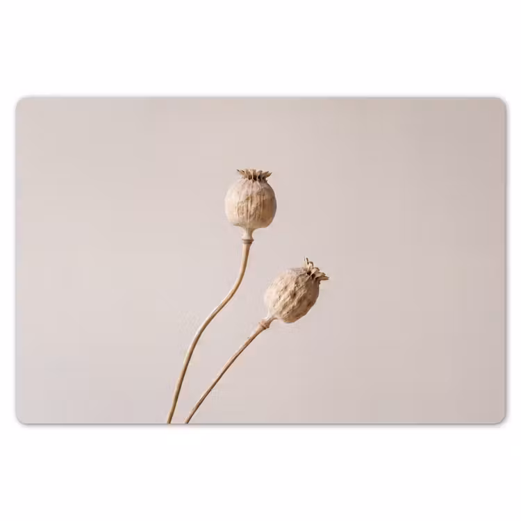 Placemat - 6 stuks - Papaverbollen - Droogbloemen - Minimalistisch - Beige - Rustig — 7