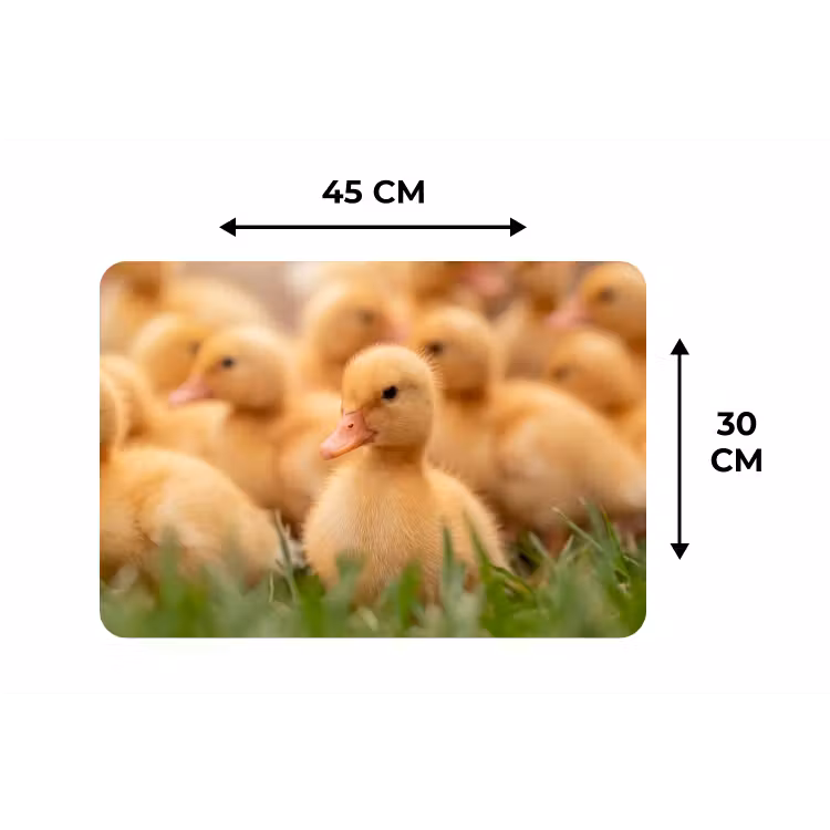 Placemat - 6 stuks - Pijltje - Eend - Natuur - Geel — 3