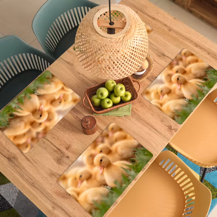 Placemat - 6 stuks - Pijltje - Eend - Natuur - Geel — 6