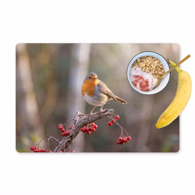 Placemat - 6 stuks - Roodborst - Tak - Bessen - Natuur — 1