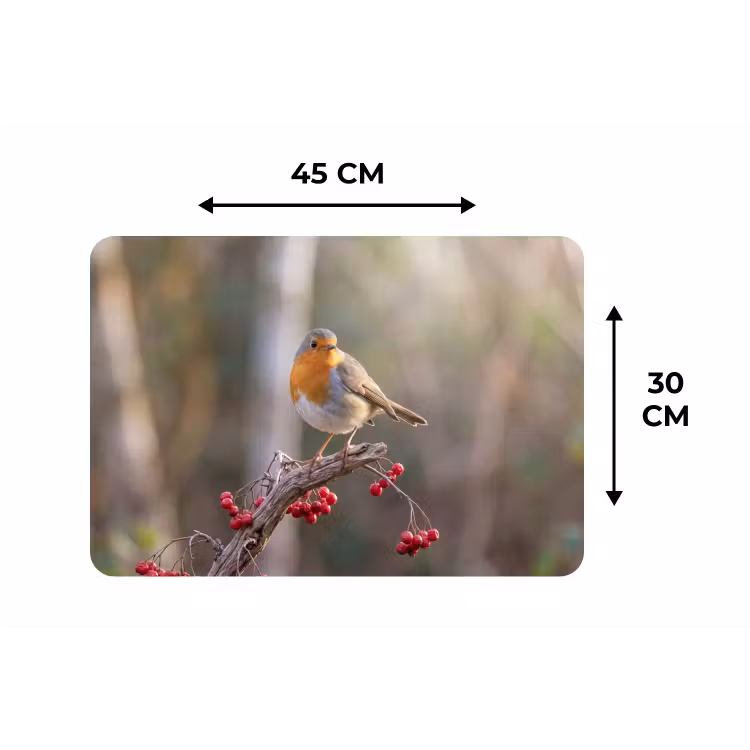Placemat - 6 stuks - Roodborst - Tak - Bessen - Natuur — 3