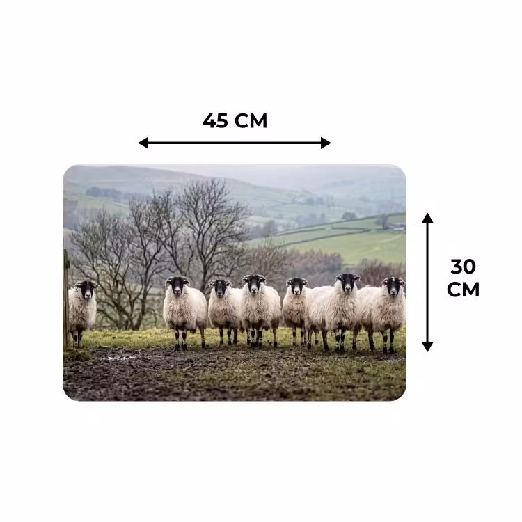 Placemat - 6 stuks - Schapen - Rij - Weide - Dieren - Platteland — 3