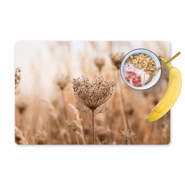 Placemat - 6 stuks - Schermbloem - Droogbloem - Winter - Beige - Minimalistisch — 1