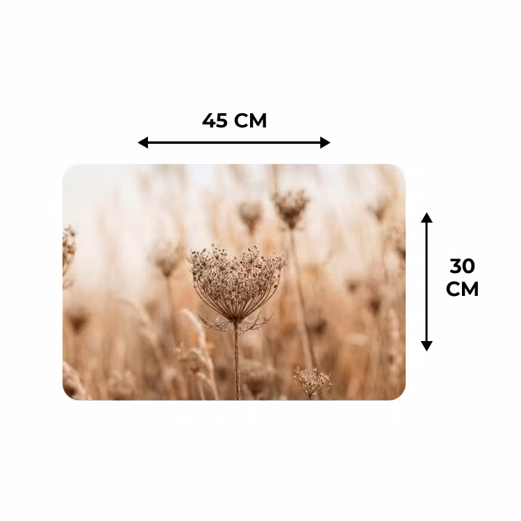 Placemat - 6 stuks - Schermbloem - Droogbloem - Winter - Beige - Minimalistisch — 3