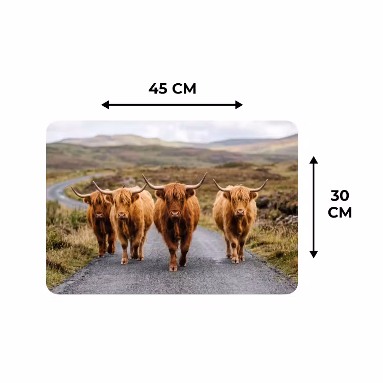 Placemat - 6 stuks - Schotse Hooglanders - Weg - Landschap - Kudde — 3