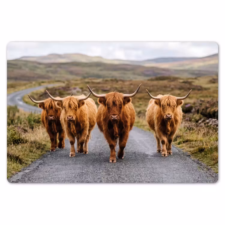 Placemat - 6 stuks - Schotse Hooglanders - Weg - Landschap - Kudde — 7