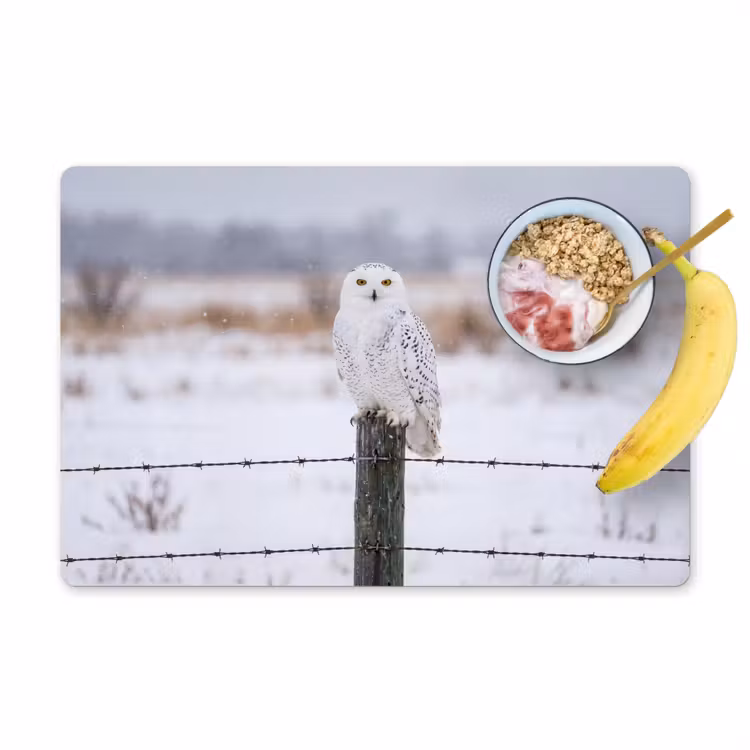 Placemat - 6 stuks - Sneeuwuil - Hek - Sneeuw - Wit — 1