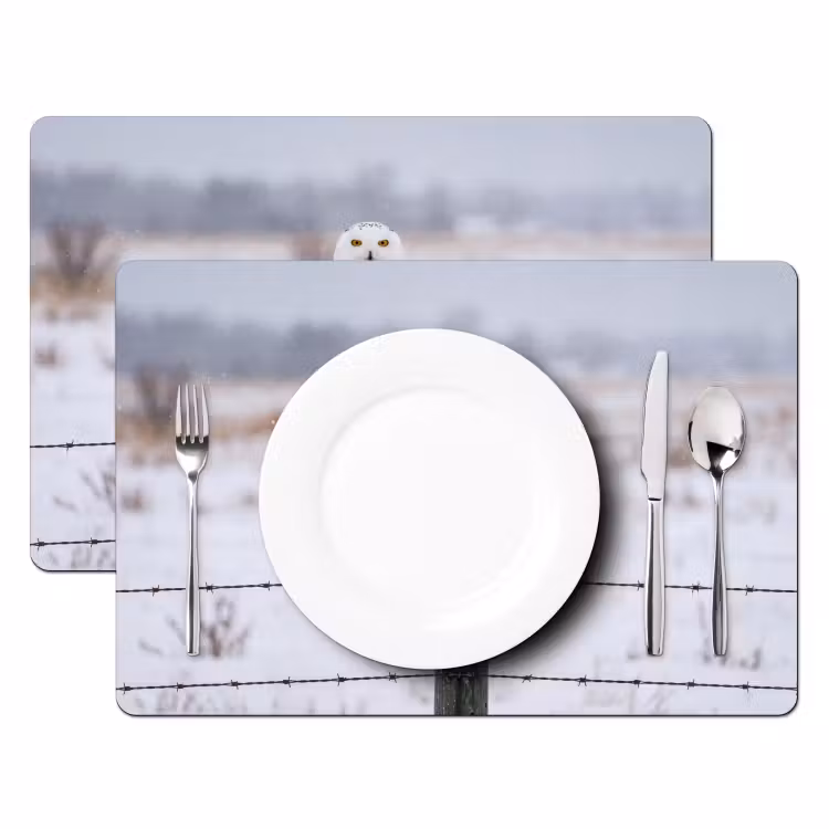 Placemat - 6 stuks - Sneeuwuil - Hek - Sneeuw - Wit — 2