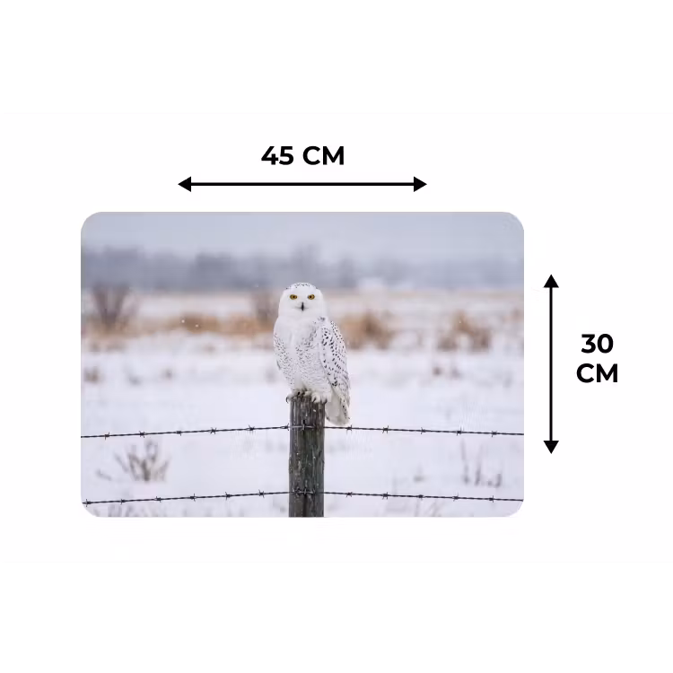 Placemat - 6 stuks - Sneeuwuil - Hek - Sneeuw - Wit — 3
