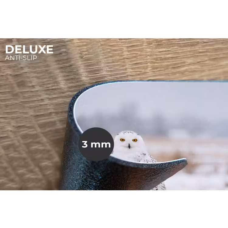 Placemat - 6 stuks - Sneeuwuil - Hek - Sneeuw - Wit — 4