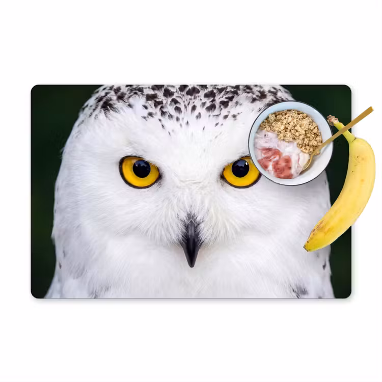 Placemat - 6 stuks - Sneeuwuil - Portret - Geel — 1