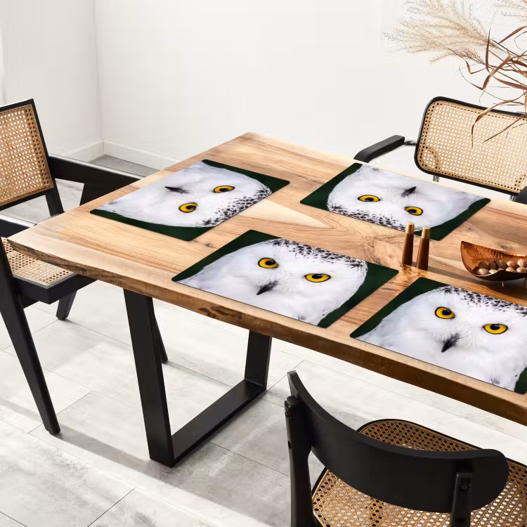 Placemat - 6 stuks - Sneeuwuil - Portret - Geel — 5