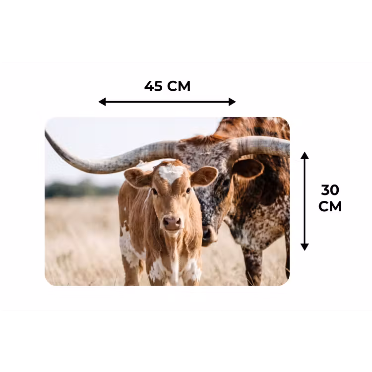Placemat - 6 stuks - Texas Longhorn - Kalf - Weide - Dieren — 3