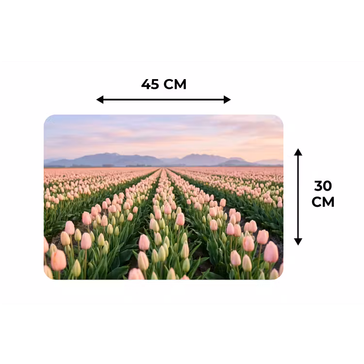 Placemat - 6 stuks - Tulpen - Landschap - Roze — 3