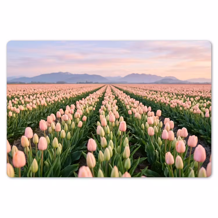 Placemat - 6 stuks - Tulpen - Landschap - Roze — 7