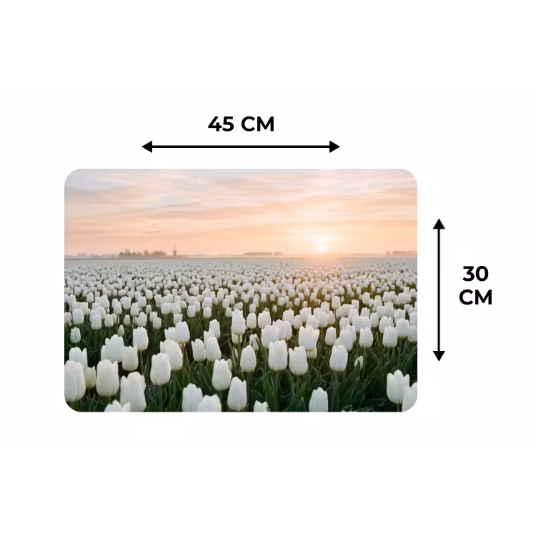 Placemat - 6 stuks - Tulpen - Landschap - Wit — 3