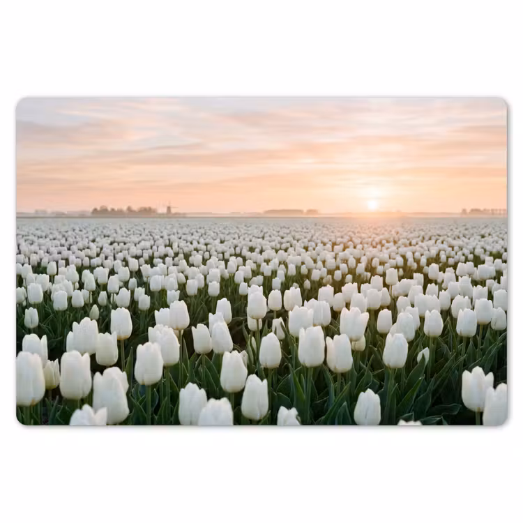 Placemat - 6 stuks - Tulpen - Landschap - Wit — 7