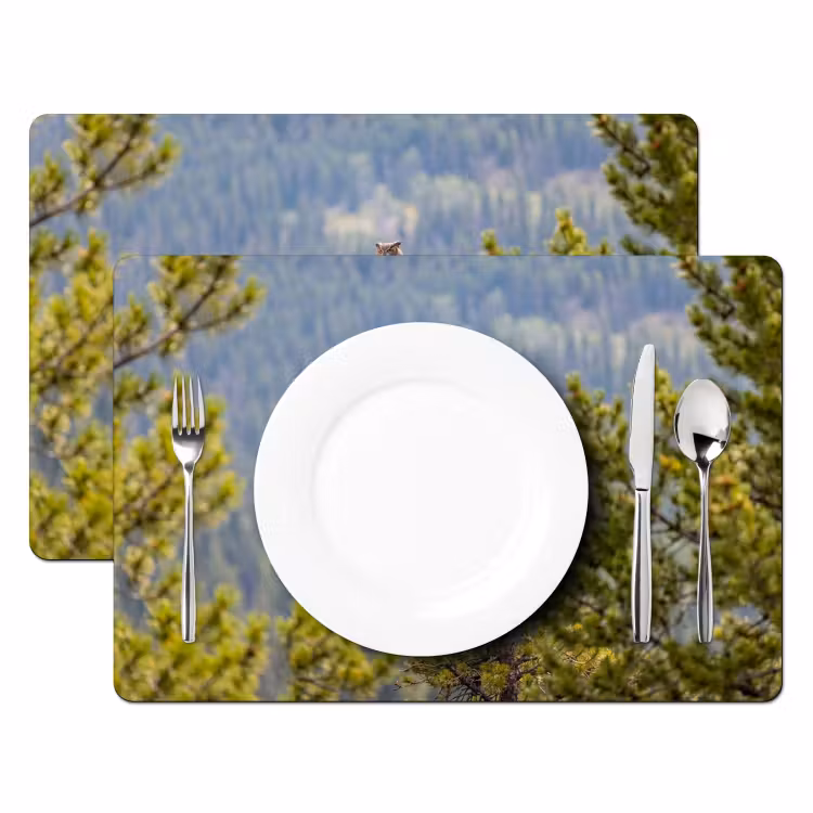 Placemat - 6 stuks - Uil - Oehoe - Bomen - Natuur — 2