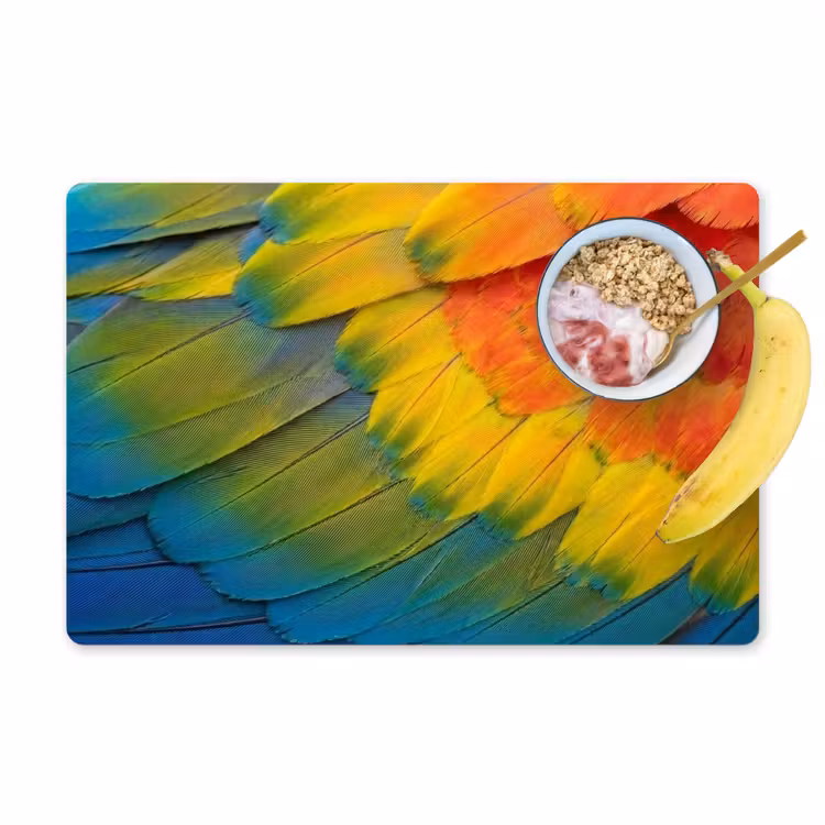 Placemat - 6 stuks - Veren - Ara - Kleurrijk — 1