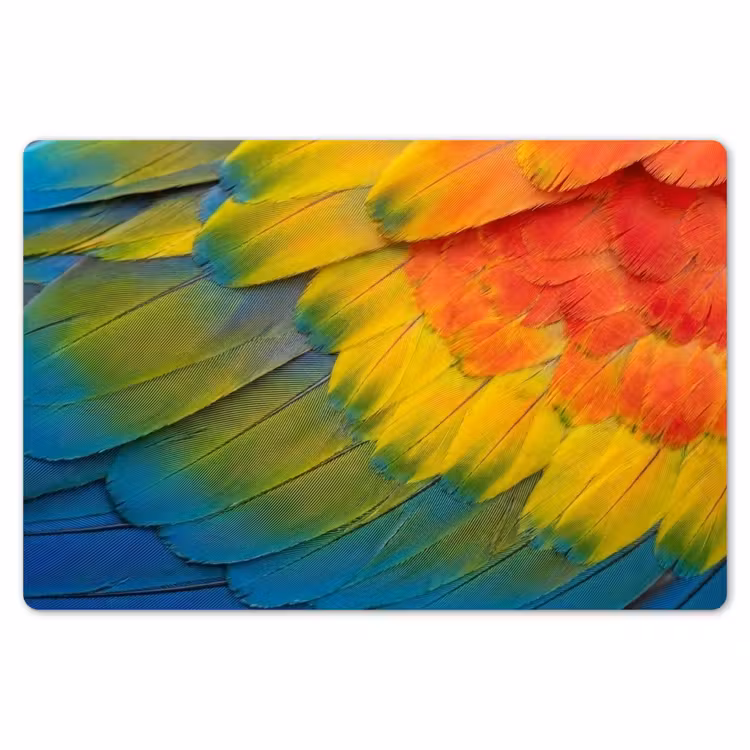 Placemat - 6 stuks - Veren - Ara - Kleurrijk — 7